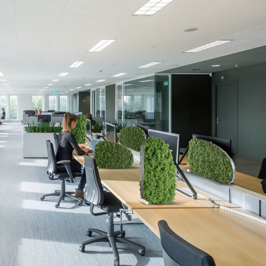 Moos-TischAkustikpaneele Büro