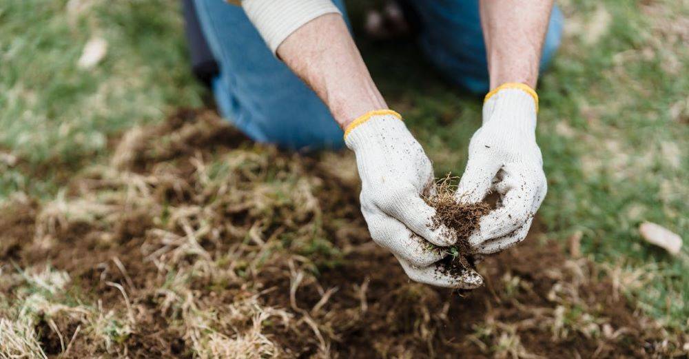 Gärtner kniet auf Rasen bei Gartenabreit