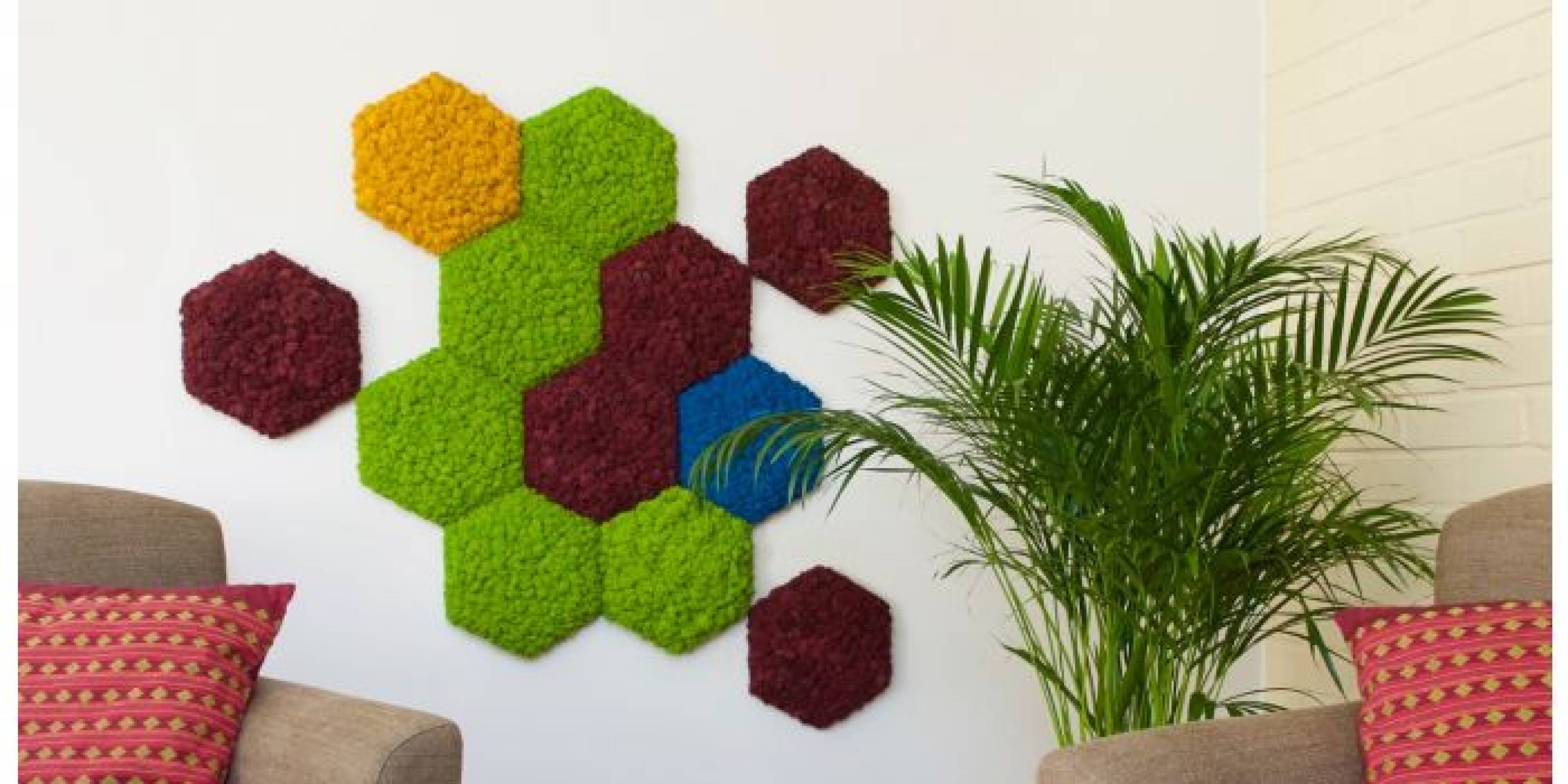 Moosprodukt Hexagon