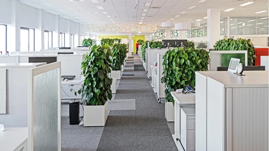 Heckenelemente helles Büro